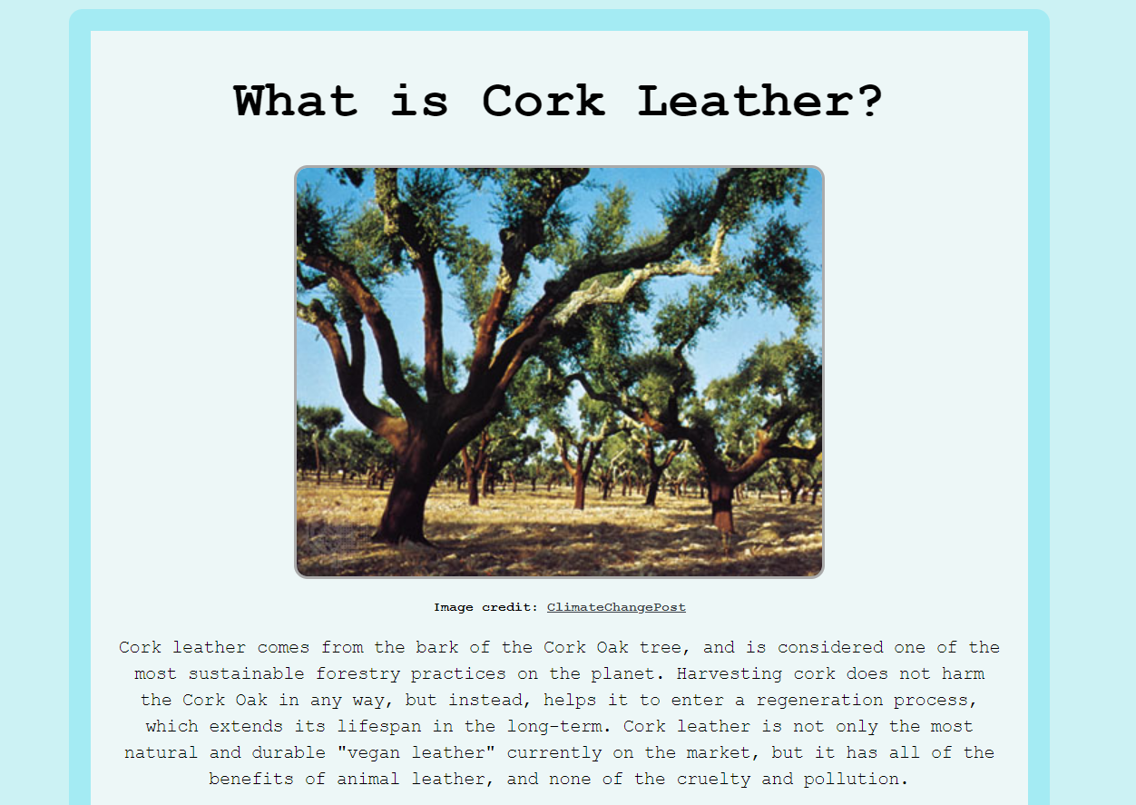 Cork leather website